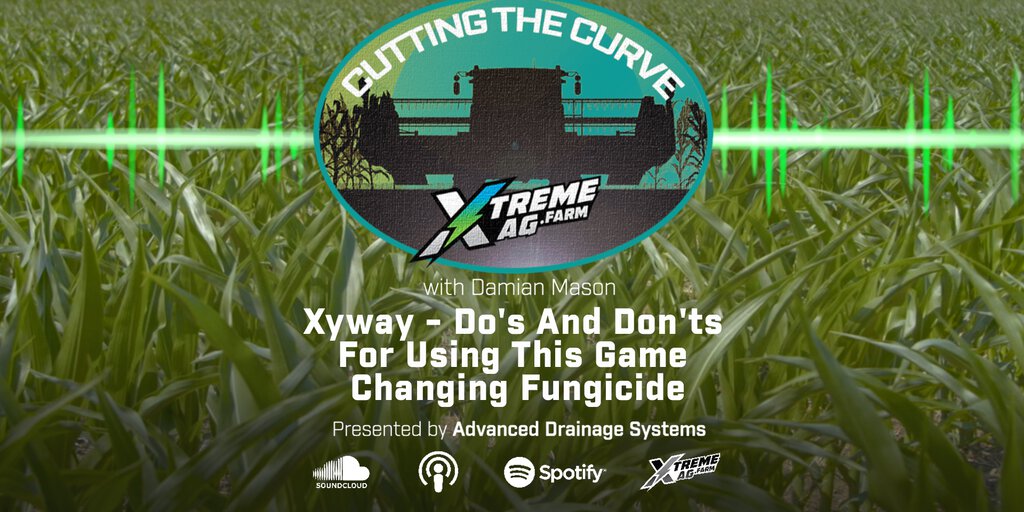 Xyway Xyway Fungicide: Best Practices for Optimal Usage